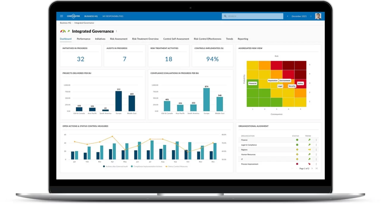 IT Governance Services